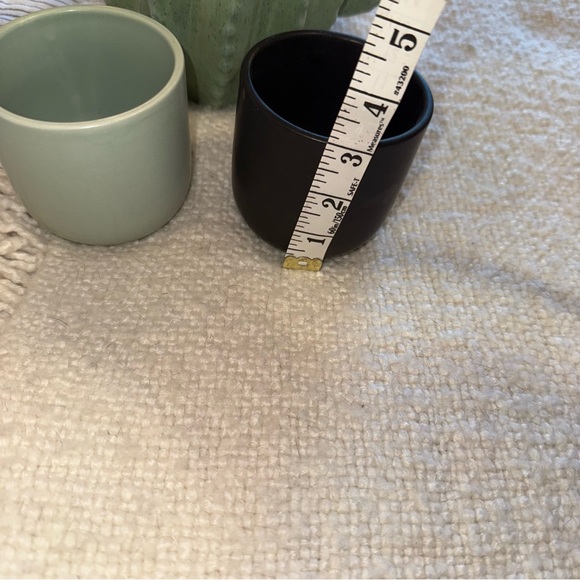 Cactus Plant Pot Lot - Picture 4 of 7